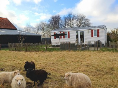 Chalet Camping Hofstede Zonnevliet - Zeeuwse Knoop - Environment photo 8