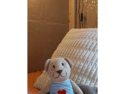 Holiday house Luxe lodge Hoogersmilde – 55 - Outdoor photo 25