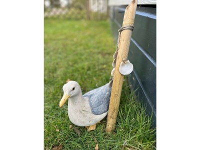 Chalet RBR 267 - Beach Resort Kamperland - Outdoor photo 15