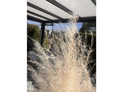 Chalet RBR 852 - Beach Resort Kamperland - Outdoor photo 26