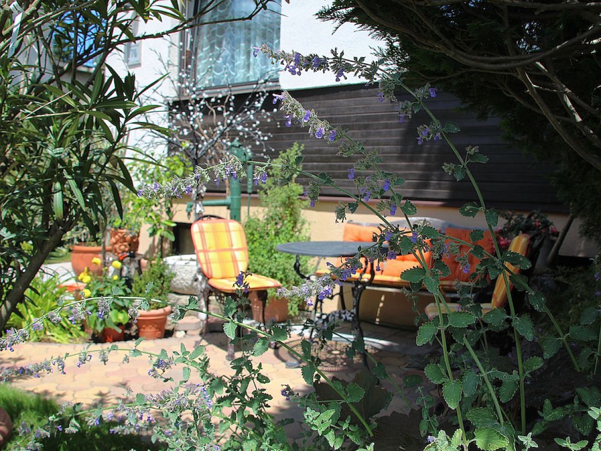 Apartment VIENNA WOODS, House "AM WIESENGRUND" - Outdoor photo 5