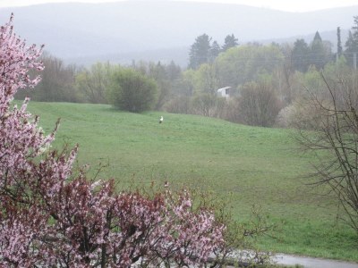 Apartment VIENNA WOODS, House "AM WIESENGRUND" - Outdoor photo 10