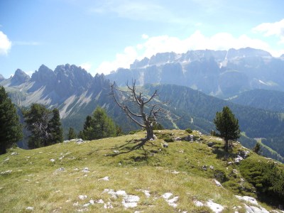 Holiday apartment Luech da Plazola - Environment photo 20