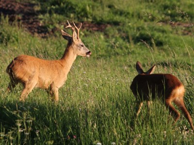 Holiday apartment Luech da Plazola - Environment photo 23