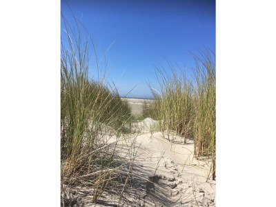 Holiday house de Zeeëgel - Environment photo 19