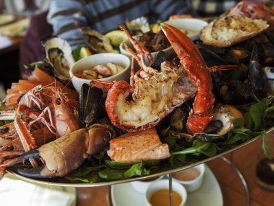 Holiday house de Zeeëgel - Environment photo 20