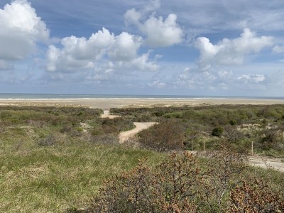 Holiday house de Zeeëgel - Environment photo 22