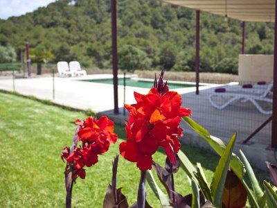 Villa Ref. 140 - Outdoor photo 11