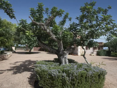 Holiday house Ref. 134 - Outdoor photo 15