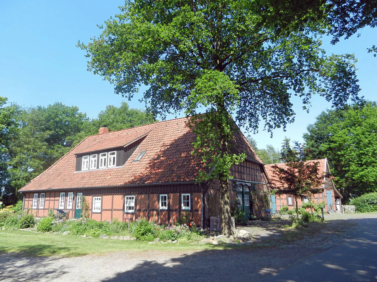 Holiday apartment Backhaus