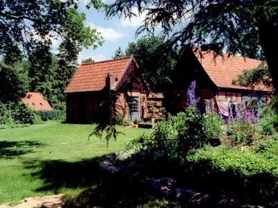 Holiday apartment Backhaus - Outdoor photo 2