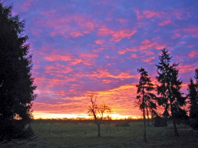 Holiday apartment Backhaus - Environment photo 37