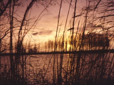 Holiday apartment Backhaus - Environment photo 38