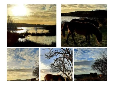 Holiday apartment 4T4 apartment B - Environment photo 17