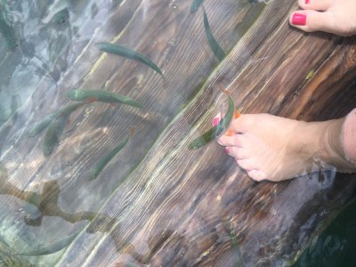 Holiday apartment Hous Moritz directly on the lake - Environment photo 17