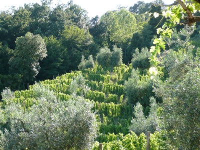 Holiday apartment L'Aione, 2-4 person apartment - Environment photo 11