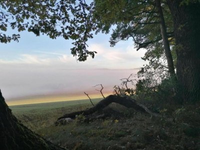 Apartment Weser Uplands Retreat - Environment photo 25