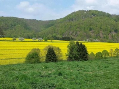 Apartment Weser Uplands Retreat - Environment photo 26