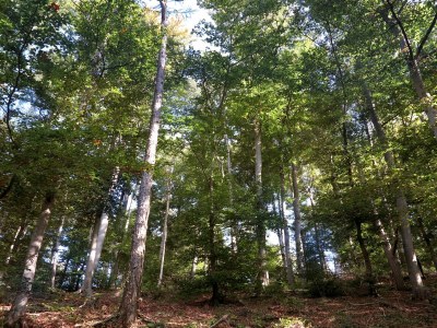 Apartment Weser Uplands Retreat - Environment photo 27