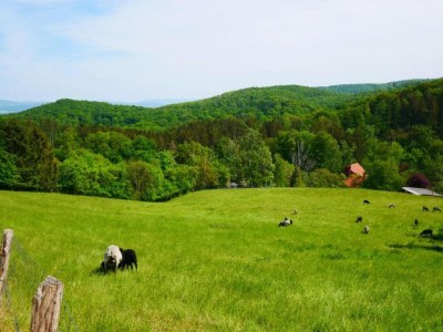 Apartment Weser Uplands Retreat - Environment photo 29