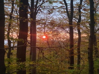 Apartment Weser Uplands Retreat - Environment photo 30