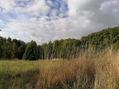 Apartment Weser Uplands Retreat - Environment photo 34