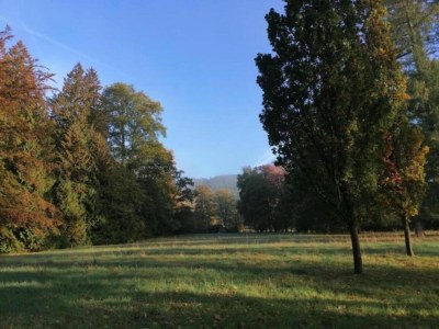 Apartment Weser Uplands Retreat - Environment photo 35