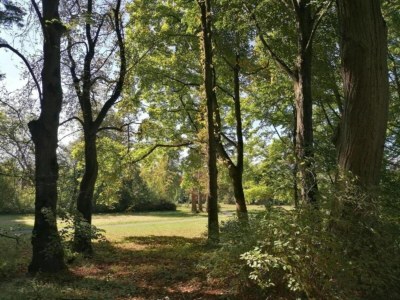 Apartment Weser Uplands Retreat - Environment photo 36