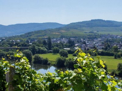 Holiday apartment Sonnenlay - Environment photo 15