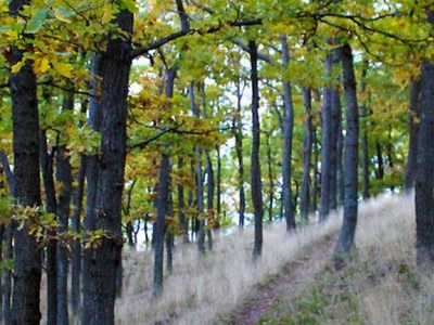 Holiday apartment Sonnenlay - Environment photo 16