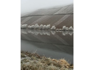 Holiday apartment Sonnenlay - Environment photo 17