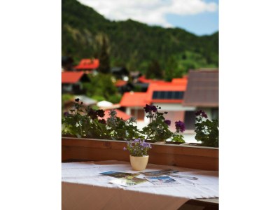 Holiday apartment in the Kaiserfeld holiday house. - Outdoor photo 3