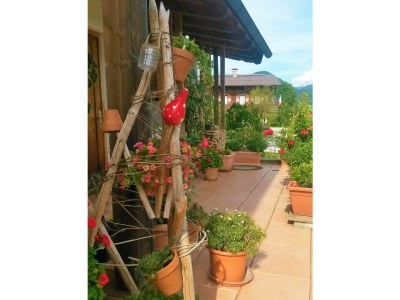 Holiday apartment in the Kaiserfeld holiday house. - Outdoor photo 9