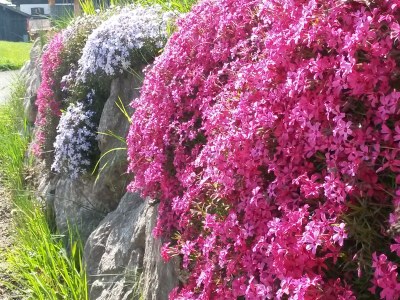 Holiday apartment in the Kaiserfeld holiday house. - Outdoor photo 10