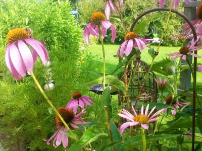 Holiday apartment in the Kaiserfeld holiday house. - Outdoor photo 11