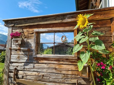 Holiday apartment in the Kaiserfeld holiday house. - Outdoor photo 13