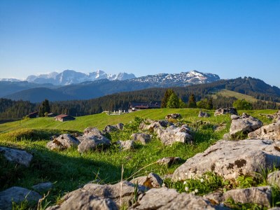Holiday apartment in the Kaiserfeld holiday house. - Environment photo 34