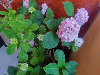 Holiday house Room Porat 2 with Private Terrace - DB with Private Terrace - Outdoor photo 6