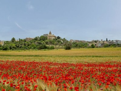 Holiday house Holiday Home in Maria de la Salut - Environment photo 37