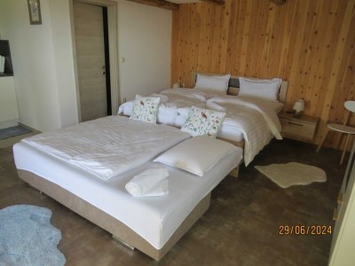 Apartment Mountain Vibrant and Timeless Apartment with Sauna - Studio Apartment with Terrace - Features photo 15