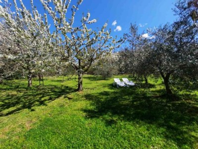 Holiday house House in Nature - House - Outdoor photo 2