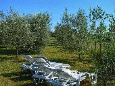 Holiday house House in Nature - House - Outdoor photo 11