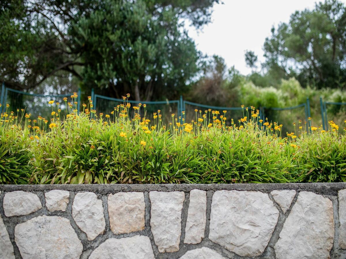 Apartment Guest House Villa Anggela - Standard Double room with Balcony and Sea View - Outdoor photo 4