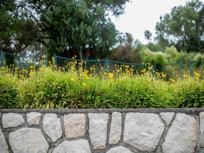Apartment Guest House Villa Anggela - Standard Double room with Balcony and Sea View - Outdoor photo 4