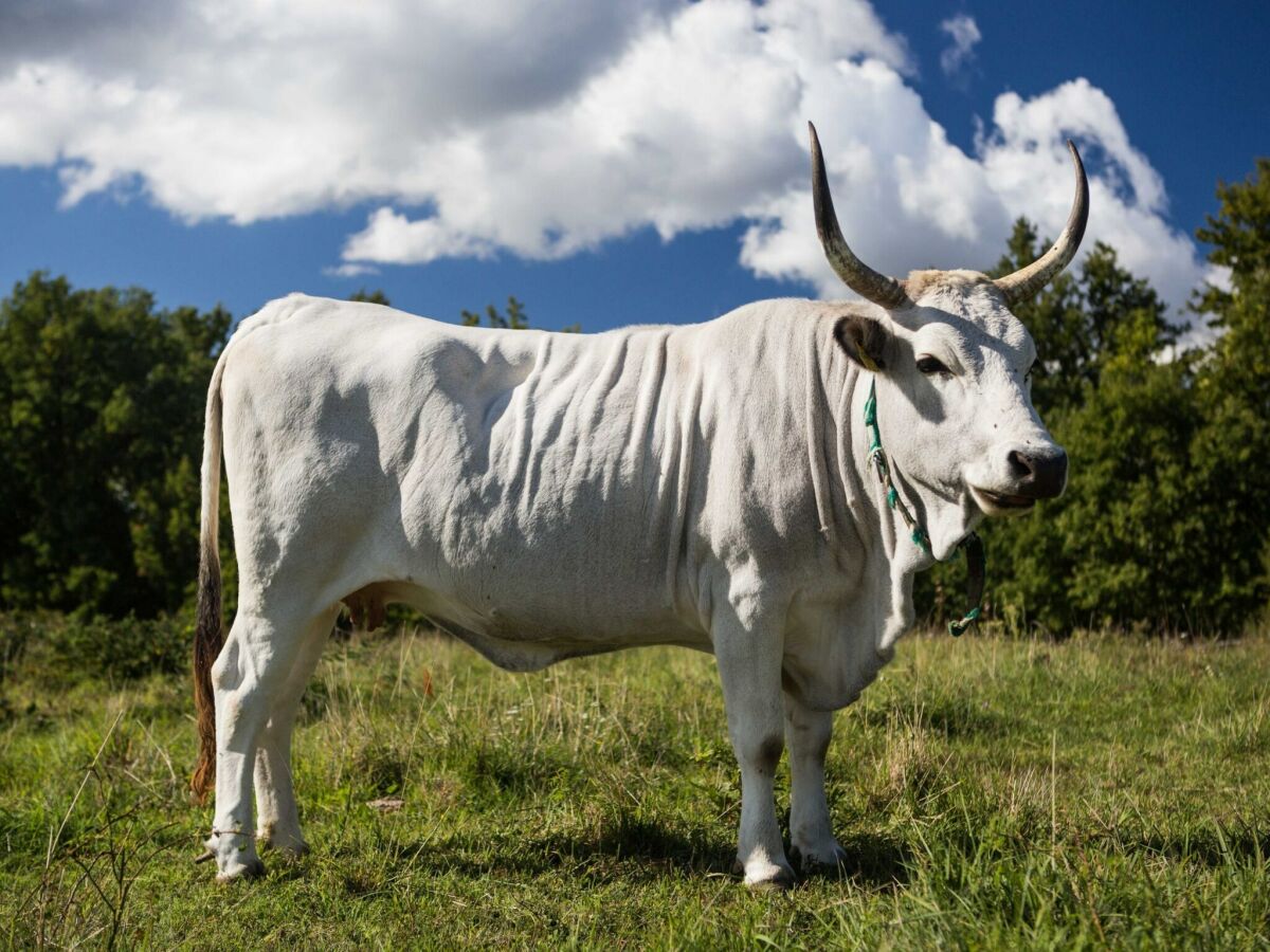 Apartment Abitanti Rustic Apartment with Balcony - Two Bedroom Apartment with Balcony - Outdoor photo 2