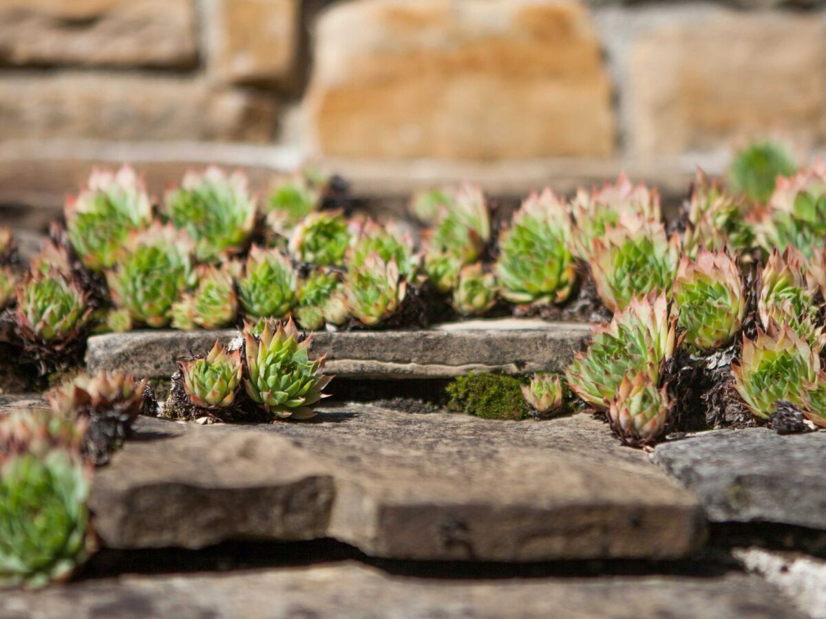 Apartment Abitanti Rustic Apartment with Balcony - Two Bedroom Apartment with Balcony - Outdoor photo 4