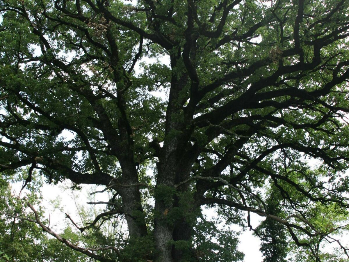 Apartment Abitanti Rustic Apartment with Balcony - Two Bedroom Apartment with Balcony - Outdoor photo 5