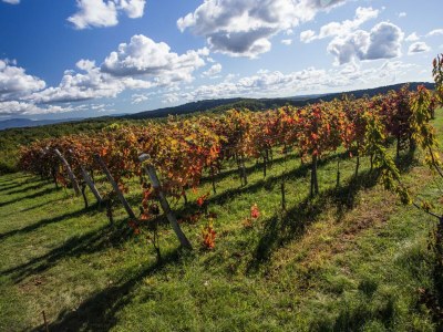 Apartment Abitanti Rustic Apartment with Balcony - Two Bedroom Apartment with Balcony - Outdoor photo 6