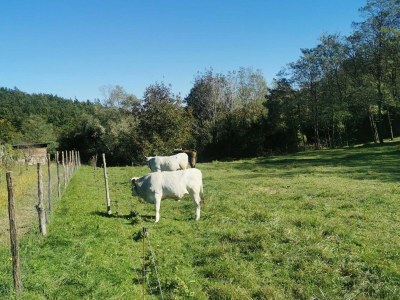 Apartment Abitanti Rustic Apartment with Balcony - Two Bedroom Apartment with Balcony - Outdoor photo 7