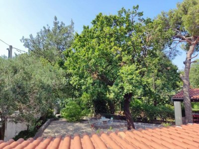 Apartment Apartment & Rooms Villa Oliva - Room 1 - Apartment